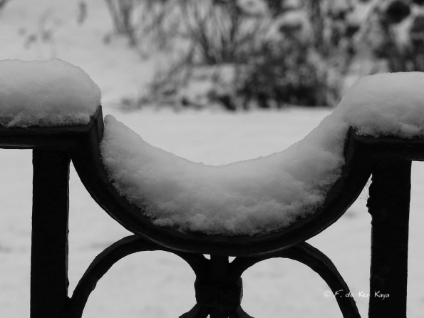 Bois des Moutiers Winterreise (2)